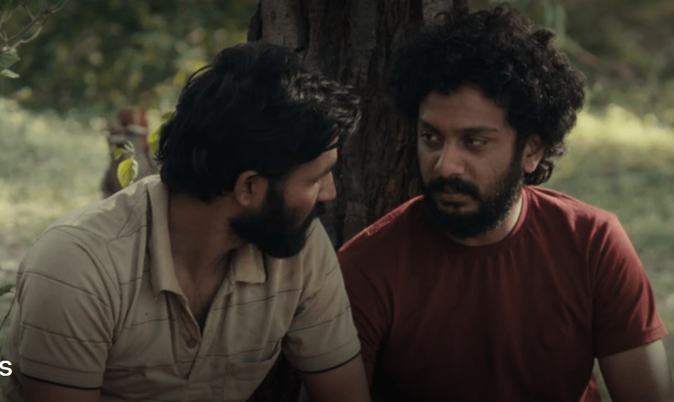 REVIEW: Cactus Pears&nbsp;★★★★☆